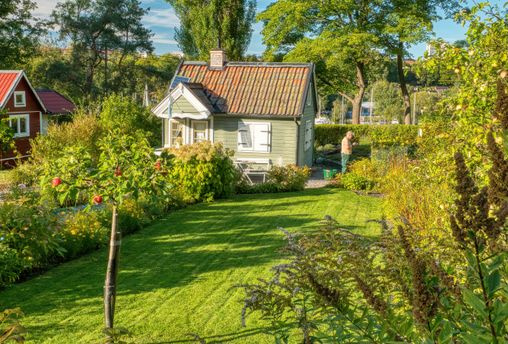 backyard lawn with garden beds