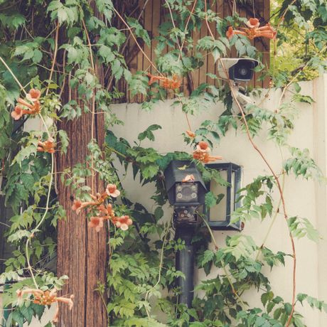 surveillance camera