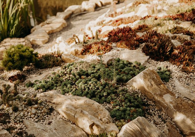 native garden bed with gravel path in morning light