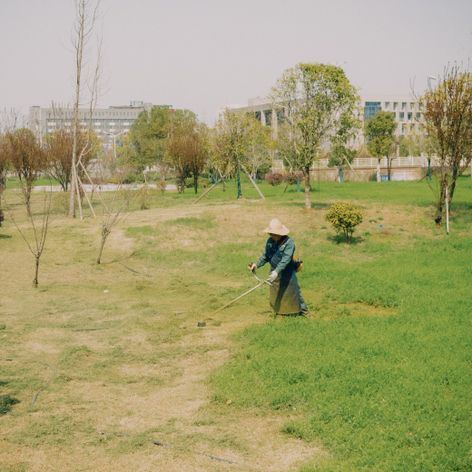 mowing grass