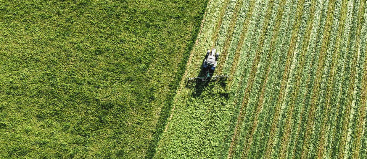 striped lawn mowing