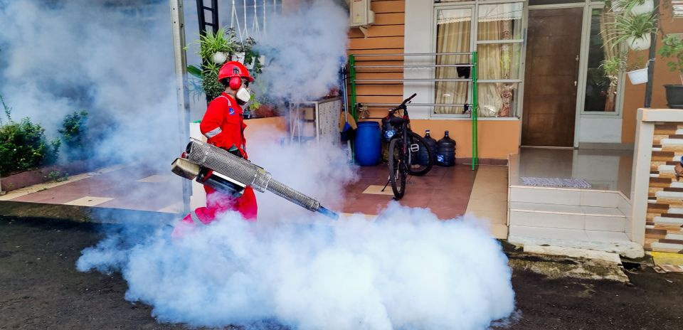 pest control technician inspecting