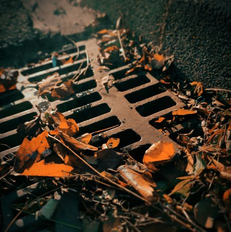 metal drain grate in a paved courtyard