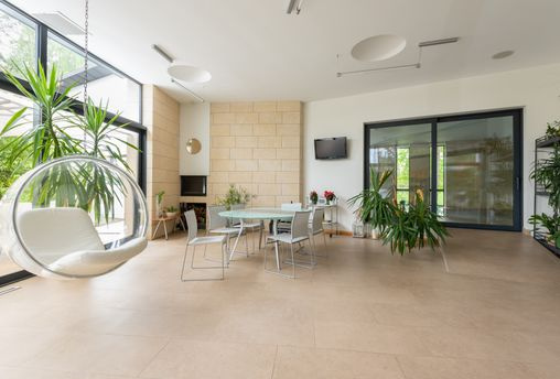 white chair and large indoor plant minimalist room