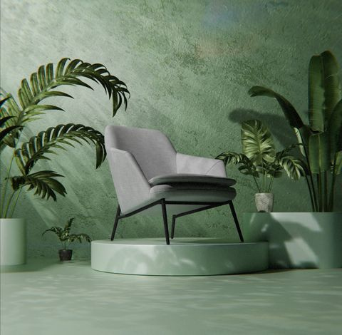armchair in green room with indoor plants