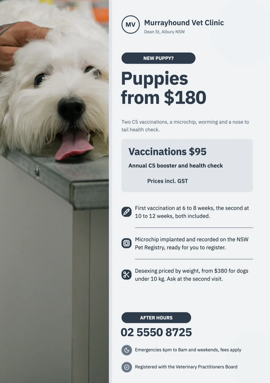 Vet clinic flyer with vaccination and desexing prices example