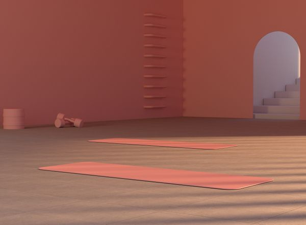 modern minimalist yoga studio mats