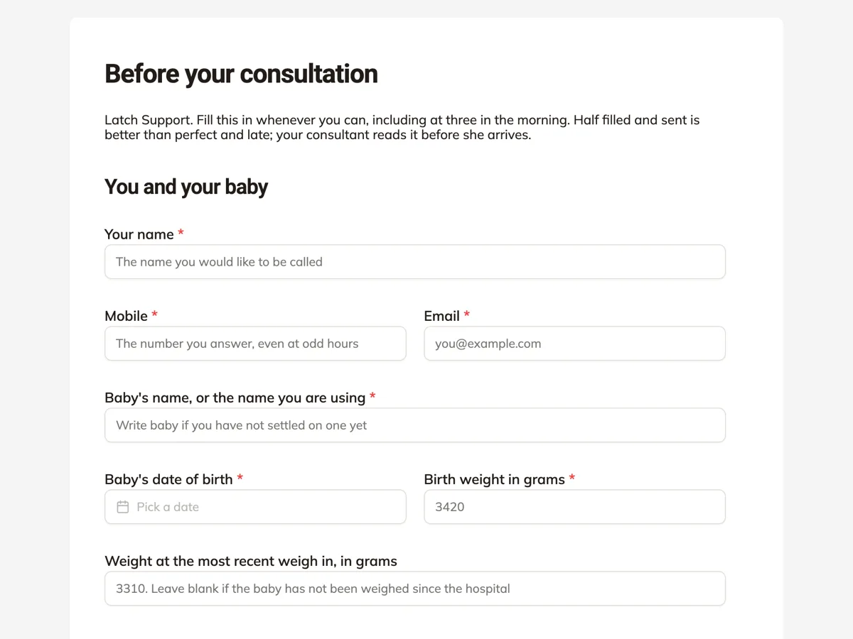 Top of the lactation consultant intake form built around a feeding log example