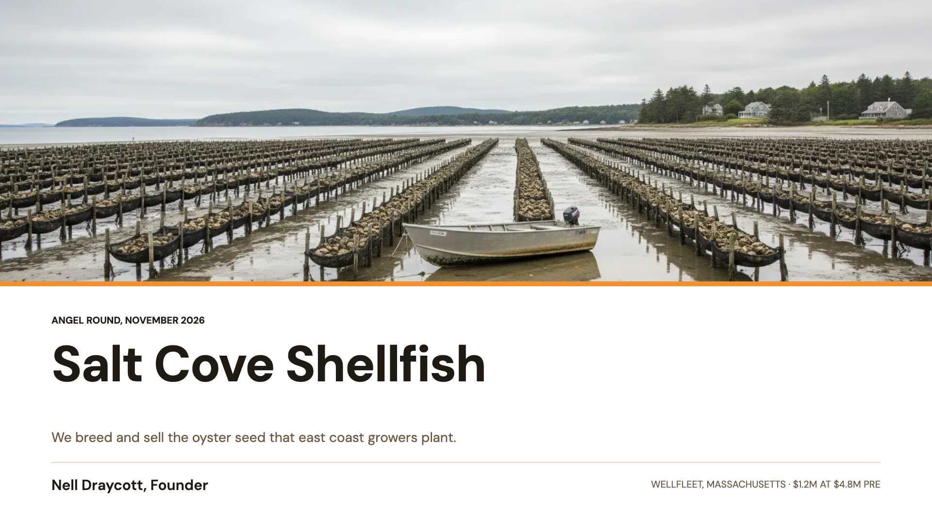 Angel investor pitch deck example
