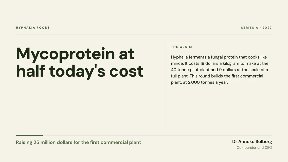 Foodtech pitch deck example for an alternative protein example