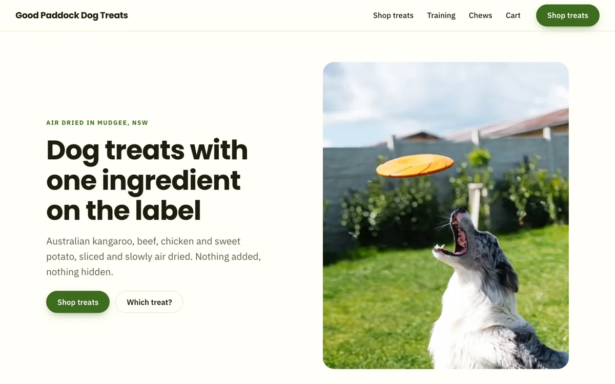 Dog treat online store example with a treat guide example