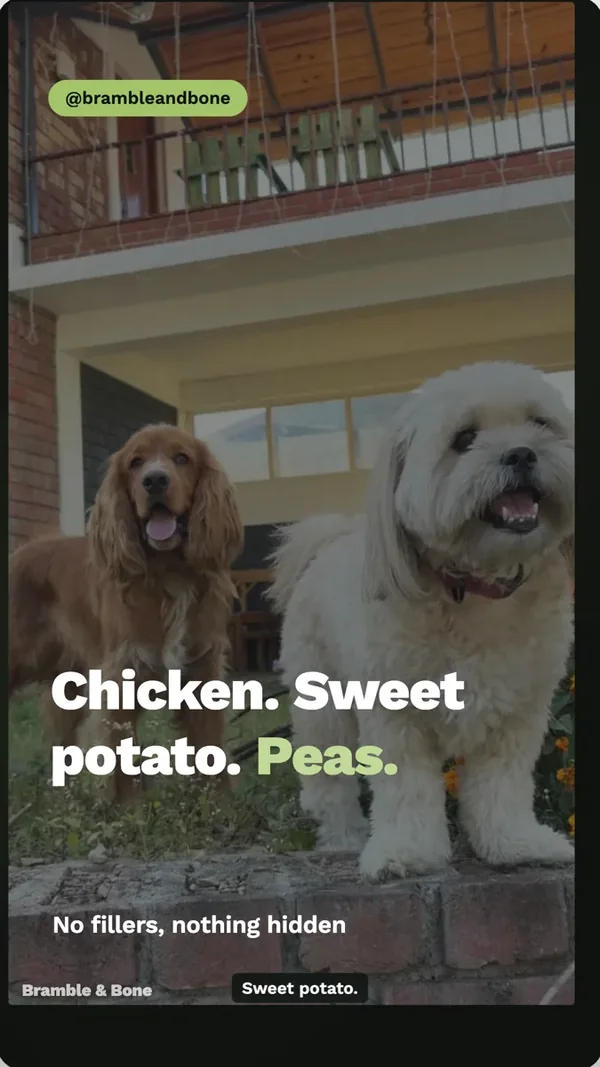 Pet food creator clip example made with OneCraft